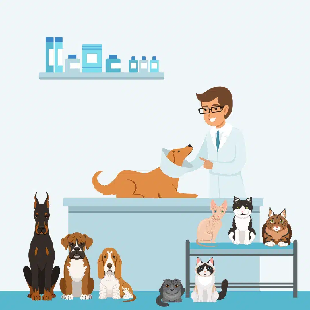 An illustration of a veterinary surgeon and pets at Local Vets West Bromwich