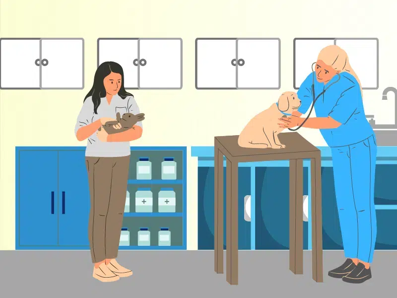 An illustration of a veterinary surgeon and a dog at emergency Local Vets West Bromwich