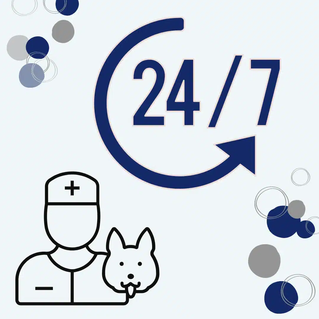 A '24/7' infographic symbolising the out of hours emergency vet services offered by Local Vets